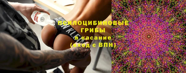 ГАЛЛЮЦИНОГЕННЫЕ ГРИБЫ Алексеевка