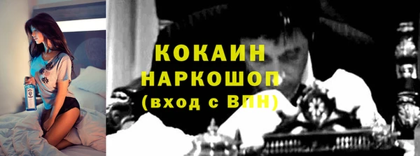 соль ск Алексин