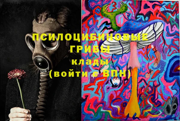 ГАЛЛЮЦИНОГЕННЫЕ ГРИБЫ Алексеевка